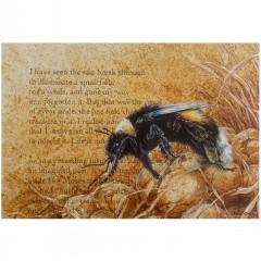 Elaine Franks Artwork - Original Picture In Mixed Media On Parchment Paper - 'Study For The Bright Field Lll - Bombus Lucorum'